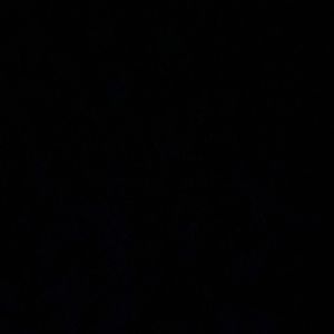 Meet your Posher, Nedia